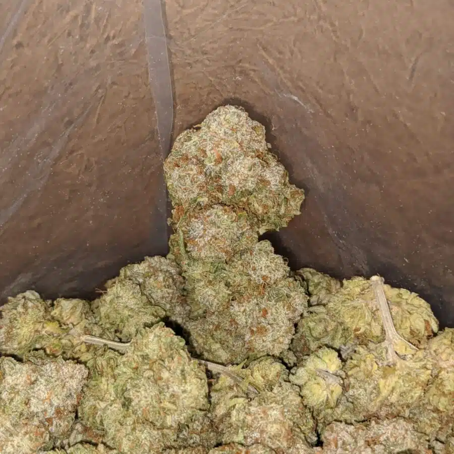 lemonade 3 1 I Lemonade
