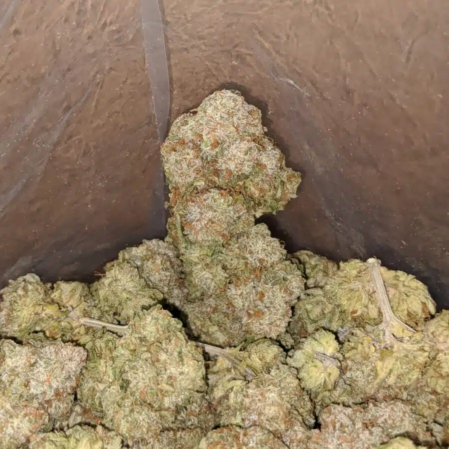 lemonade 4 1 I Lemonade