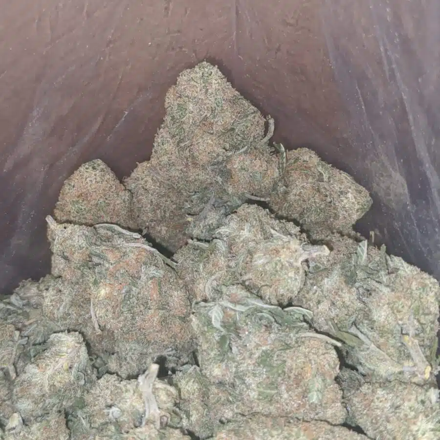 peaches cream 2 I $ 57 Oz - Peaches & Cream