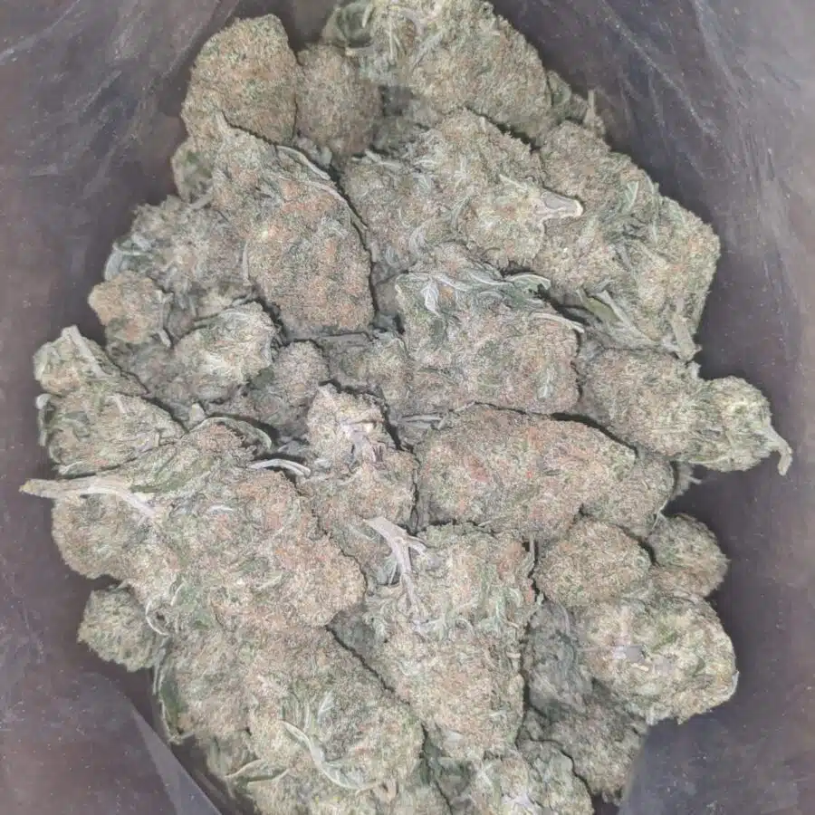 peaches cream 3 I $ 57 Oz - Peaches & Cream