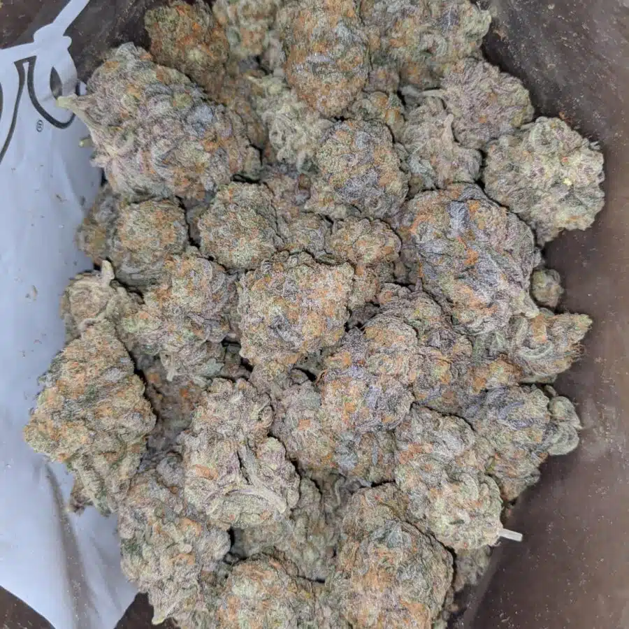 peanut butter breath 1 I Peanut Butter Breath