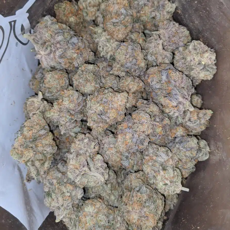 peanut butter breath 2 I Peanut Butter Breath