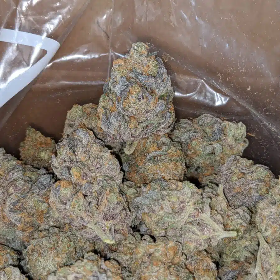 peanut butter breath 3 I Peanut Butter Breath