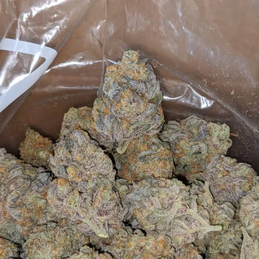 peanut butter breath 4 I Peanut Butter Breath