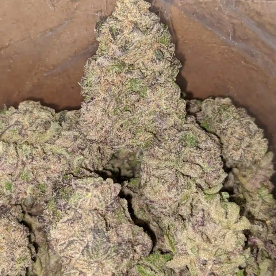 purple lemon cookies 3 I Purple Lemon Cookies