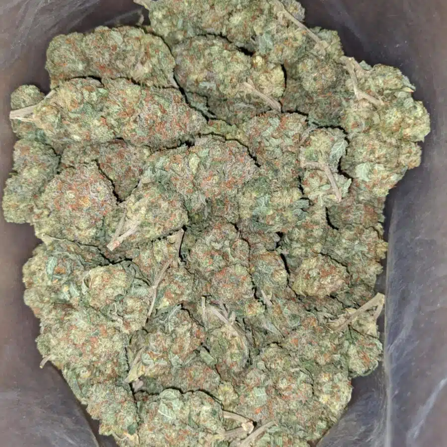 seattle cough 1 I $ 57 Oz - Seattle Cough