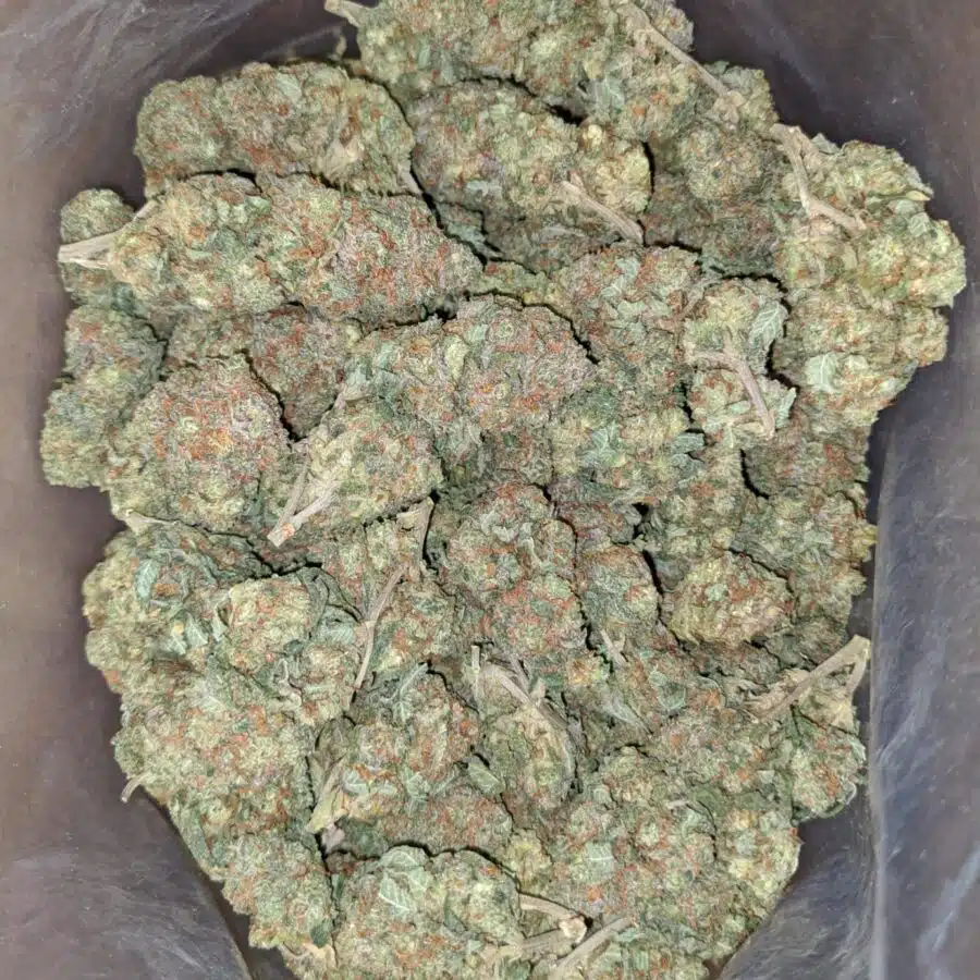 seattle cough 2 I $ 57 Oz - Seattle Cough