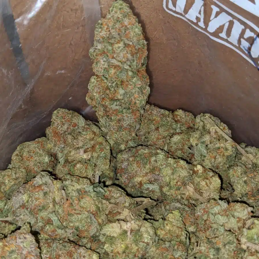seattle cough 4 I $ 57 Oz - Seattle Cough