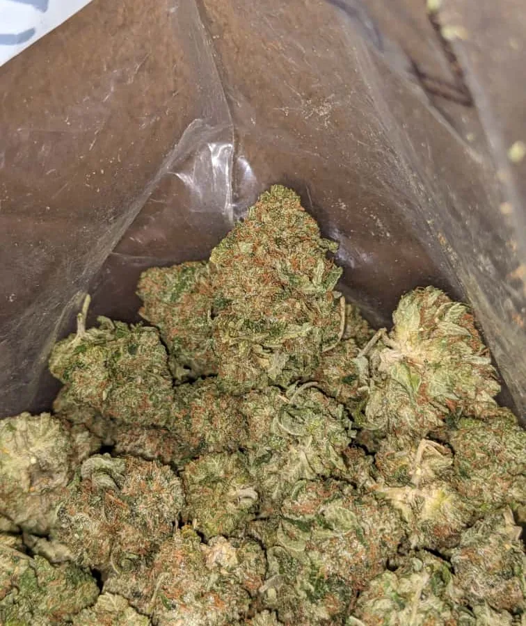 tbk 1 I Tony's Bubba Kush