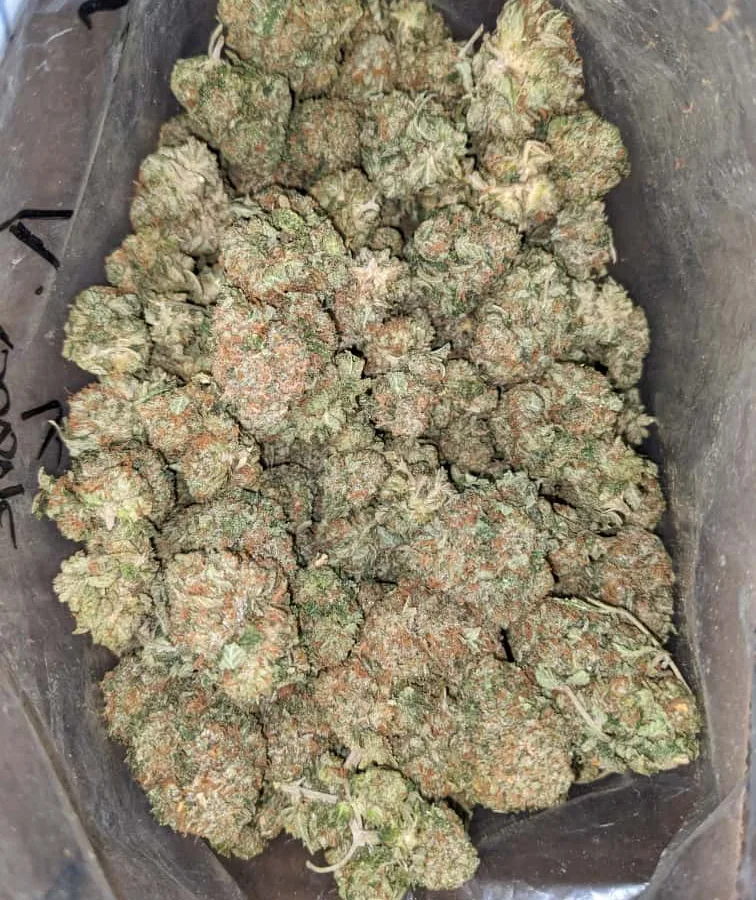 tbk 2 I Tony's Bubba Kush