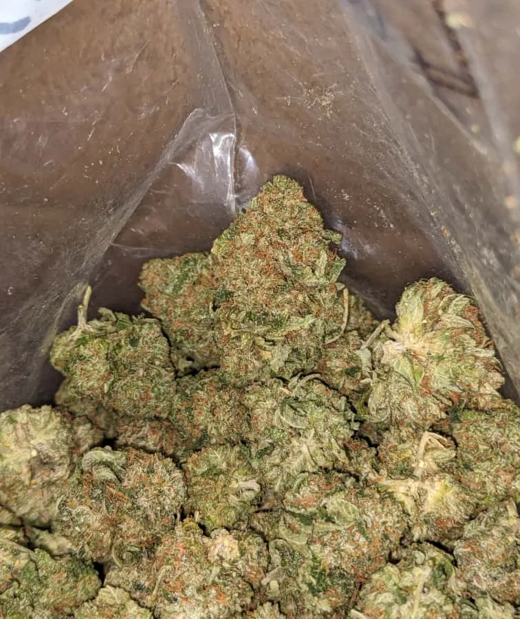tbk 3 I Tony's Bubba Kush