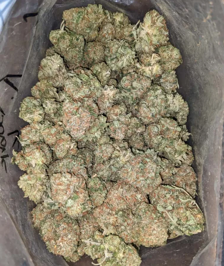 tbk 4 I Tony's Bubba Kush