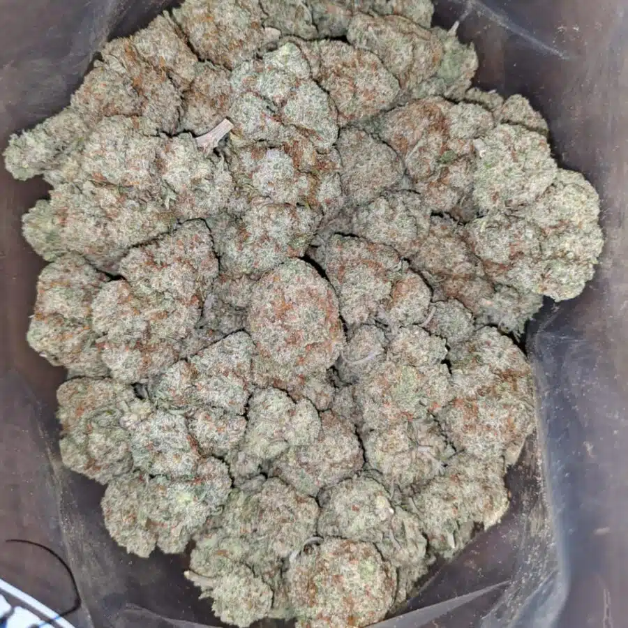 white lighting 4 I White Lightning