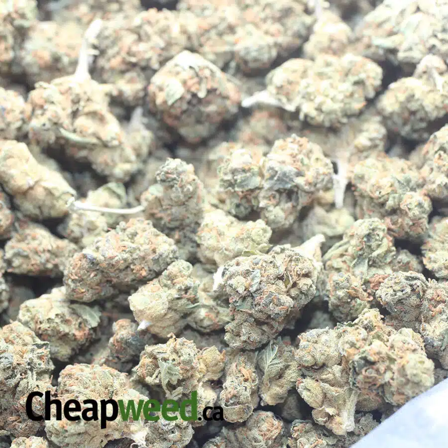 BUBBA KUSH 3 I $ 35 Oz - Bubba Kush ( Smalls )