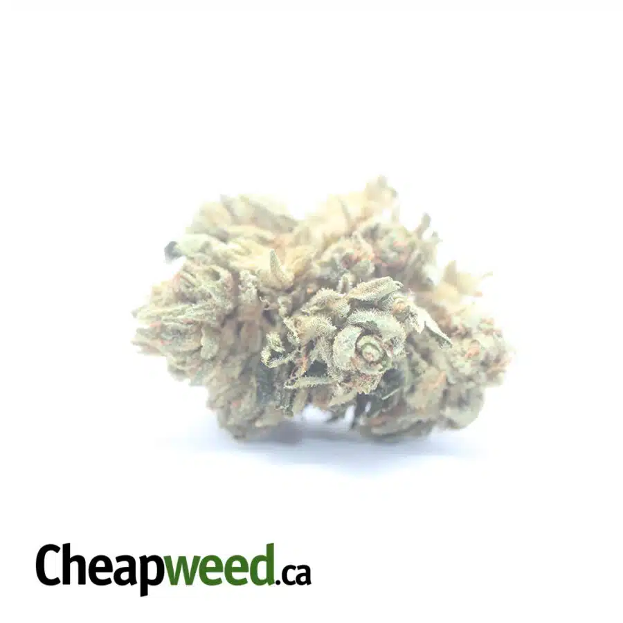 $ 33 Oz - Chemo