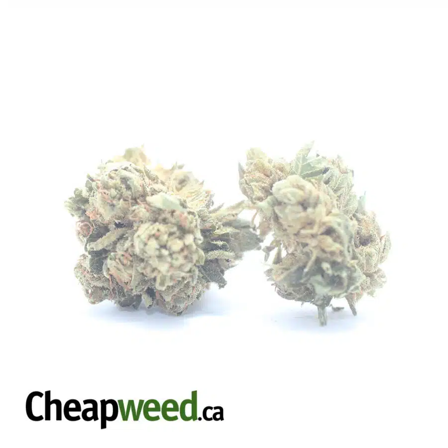 Alternative view of $ 33 Oz - Chemo