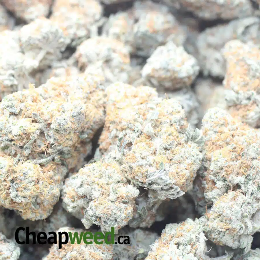 CRUNCHBERRY 1 I $ 43 Oz - Crunchberry