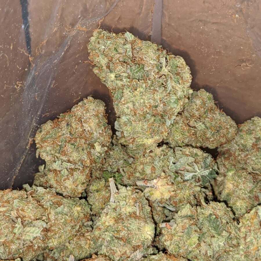 Critical kush 3 1 I Critical Kush