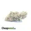 $ 33 Oz - Greasy Bubba
