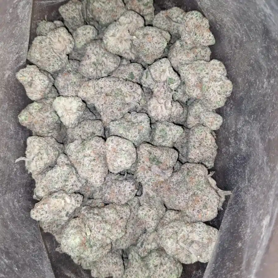 Gobbstopper 1 1 I Gobbstopper