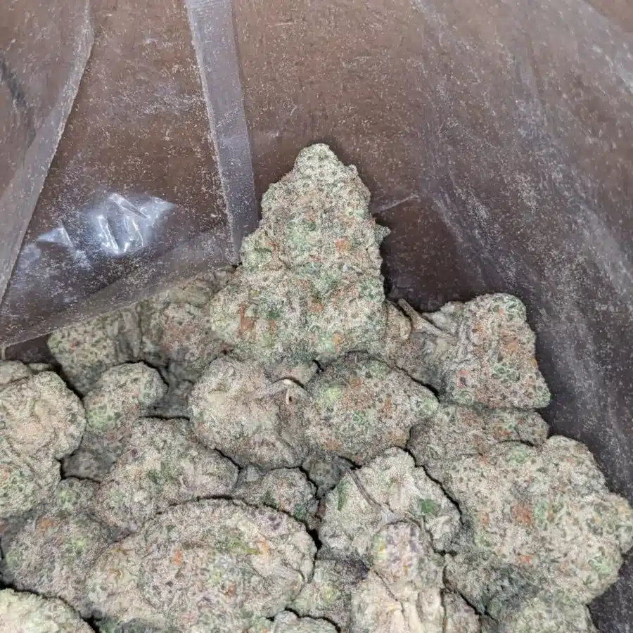 Gobbstopper 3 1 I Gobbstopper