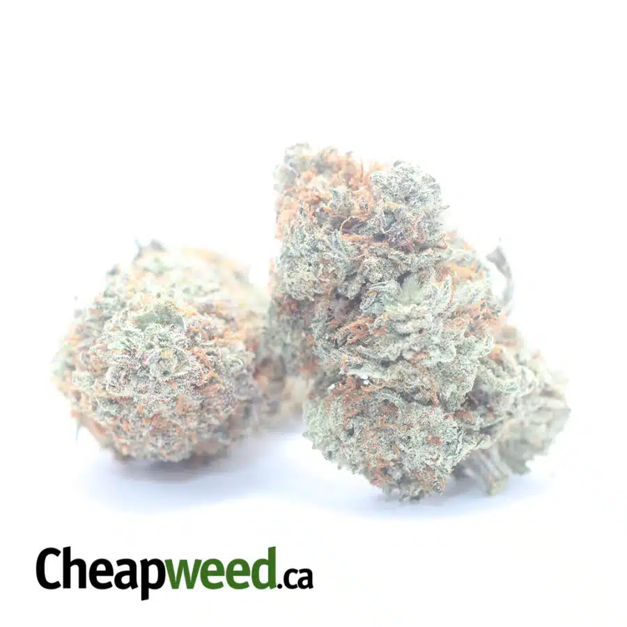 Alternative view of $ 60 Oz - Italian Ice