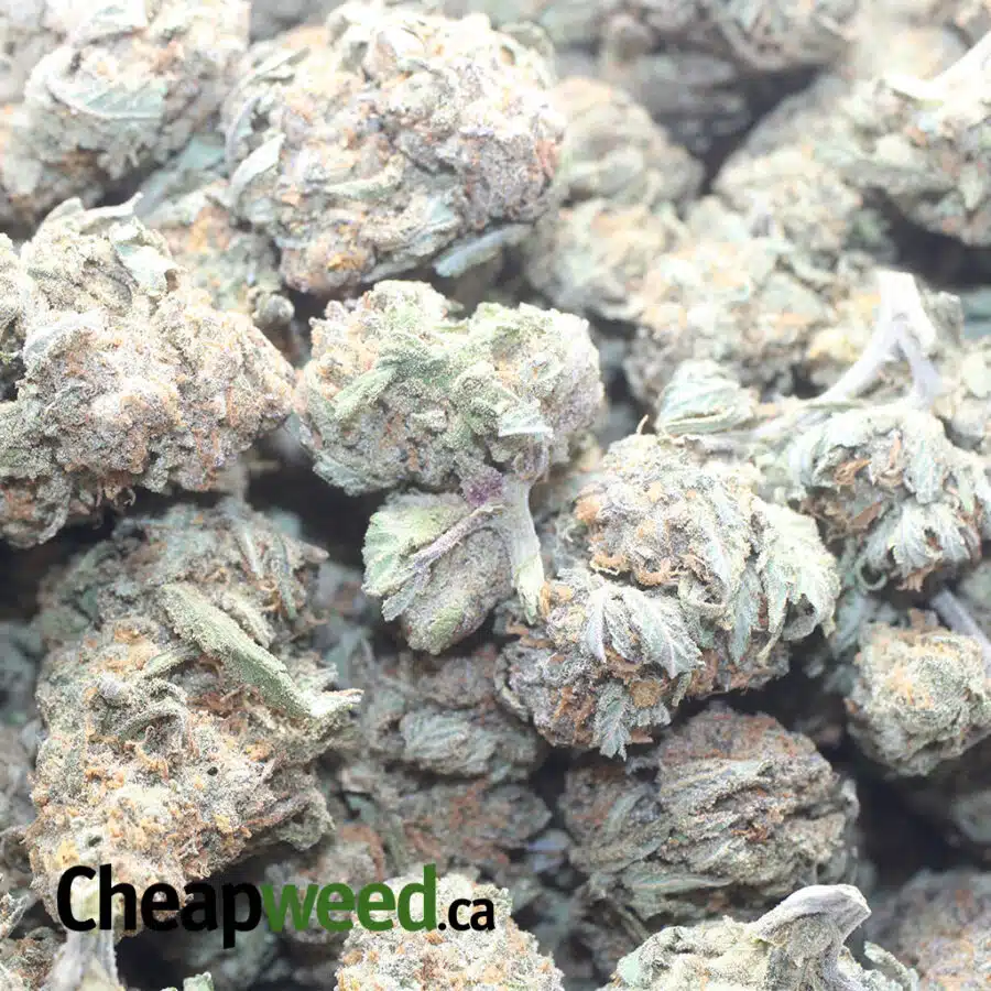 NUKEN 2 1 I $ 59 Oz - Nuken