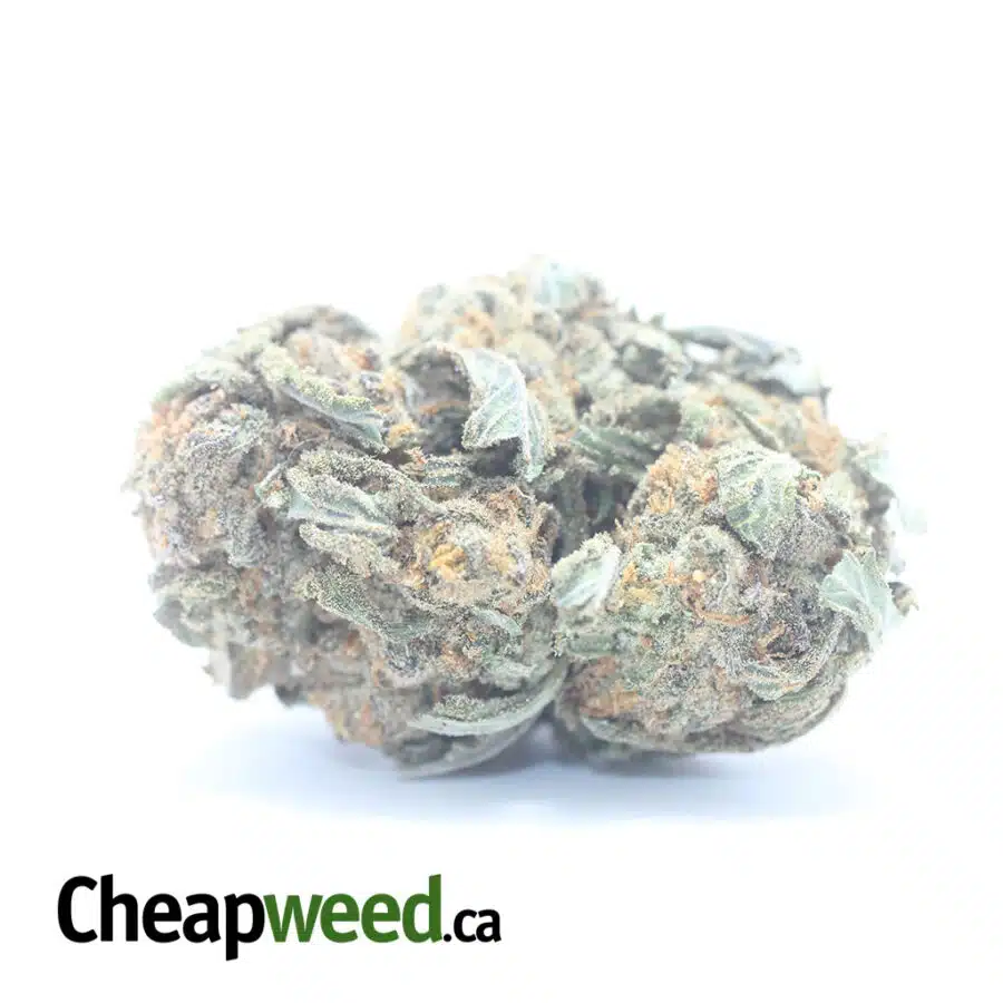 $ 59 Oz - Nuken