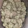 Orange Tangie