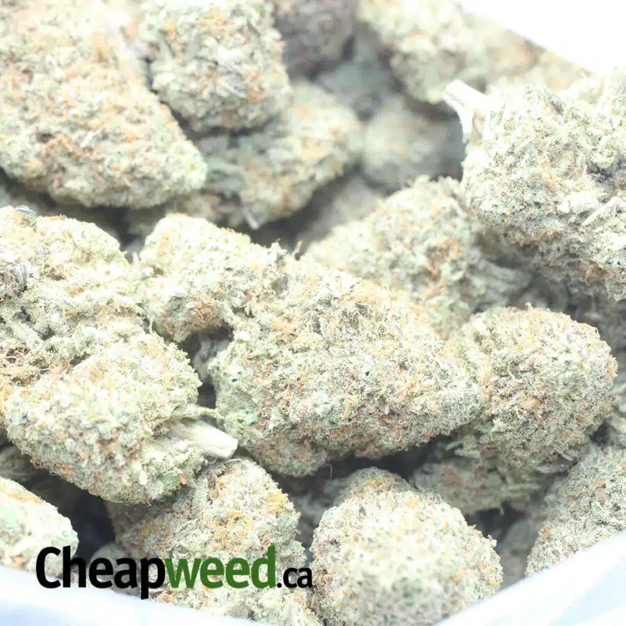 PINK COOKIES 1 I Pink Cookies
