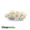 $ 35 Oz - Pugs Breath