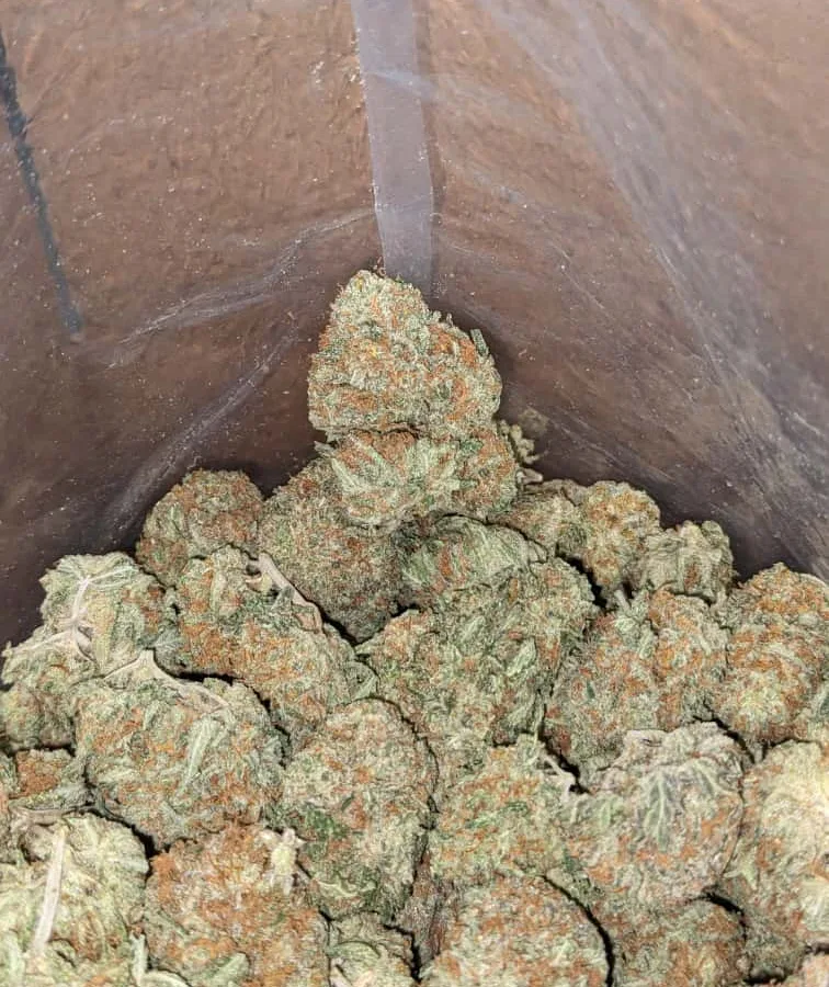 Platinum blackberry 1 I $ 40 Oz - Platinum Blackberry