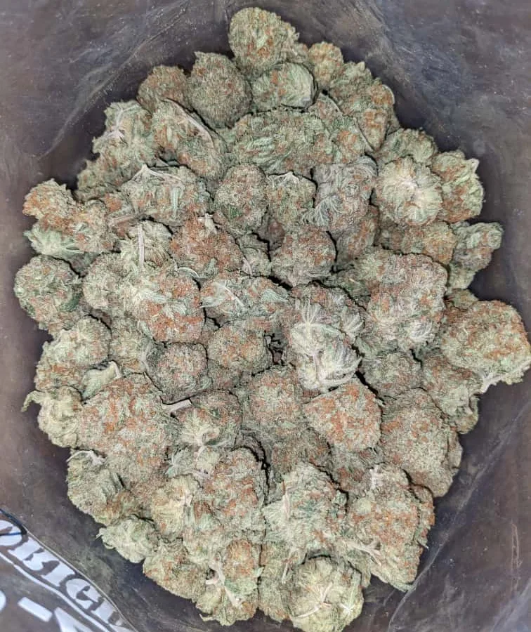 Platinum blackberry 2 I $ 40 Oz - Platinum Blackberry