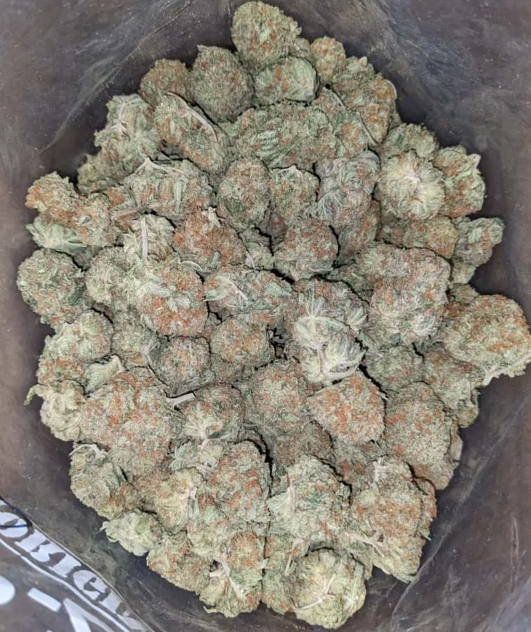 Platinum blackberry 3 I $ 40 Oz - Platinum Blackberry