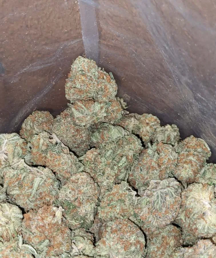 Platinum blackberry 4 I $ 40 Oz - Platinum Blackberry