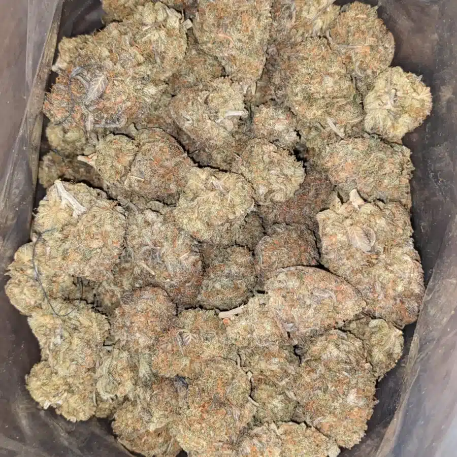 Punch Breath