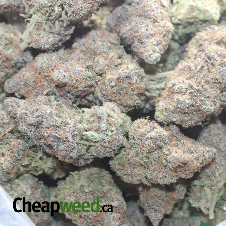 STRAWBERRY SOUR DISEL 1 I Strawberry Sour Diesel
