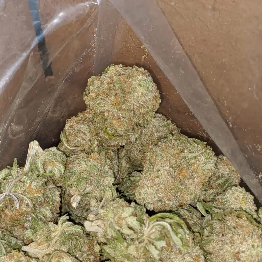 Thunder fuck 2 I $ 47 Oz - Thunderfuck