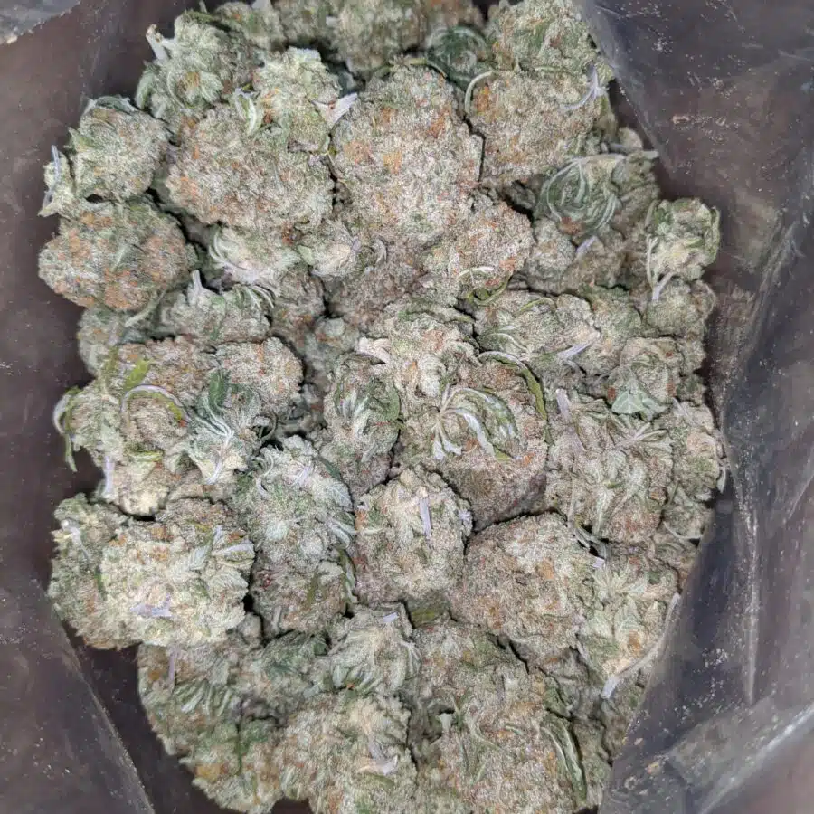 Thunder fuck 3 I $ 47 Oz - Thunderfuck