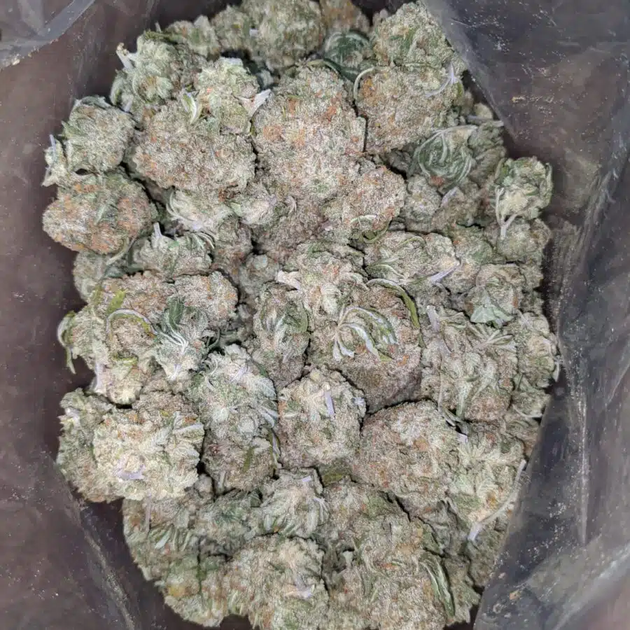 Thunder fuck 4 I $ 47 Oz - Thunderfuck