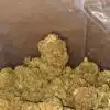 $ 41 Oz - Greasy Bubba