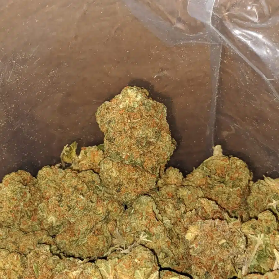 $ 41 Oz - Greasy Bubba