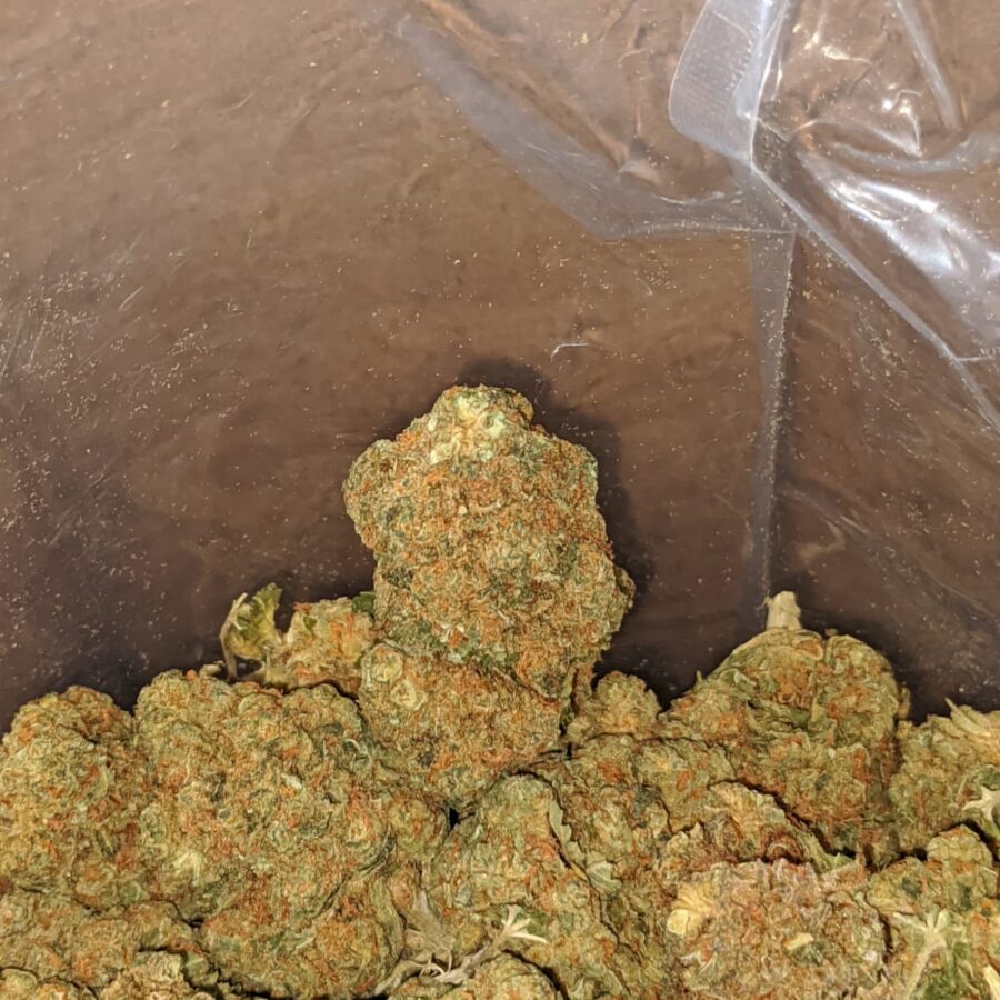 WhatsApp Image 2024 07 24 at 9.29.40 AM 3 I $ 41 Oz - Greasy Bubba