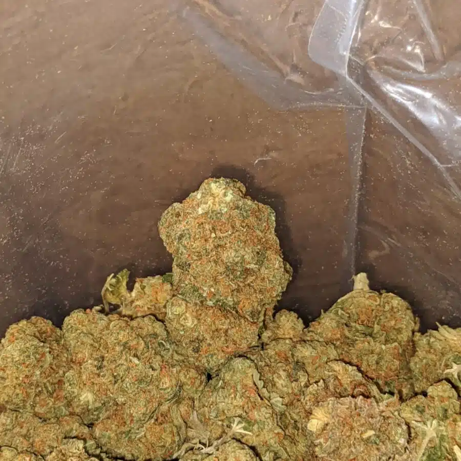 Alternative view of $ 41 Oz - Greasy Bubba