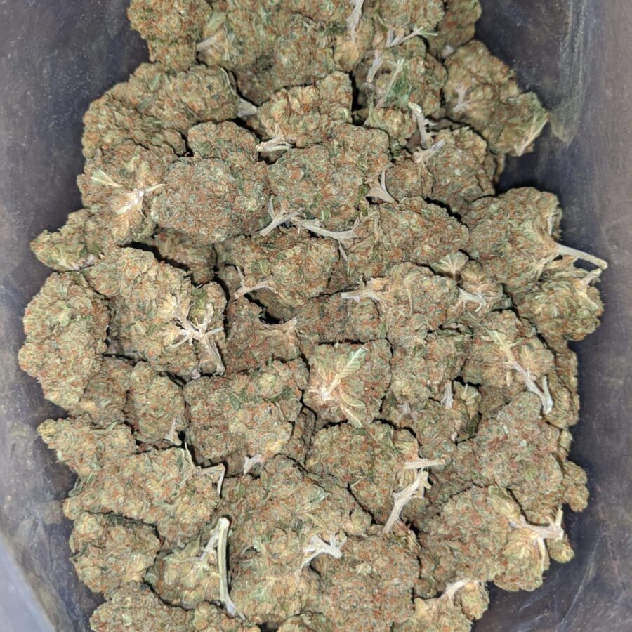 WhatsApp Image 2024 07 24 at 9.29.40 AM I $ 41 Oz - Greasy Bubba