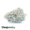$ 56 Oz - Yogurt