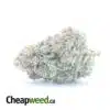 $ 56 Oz - Yogurt