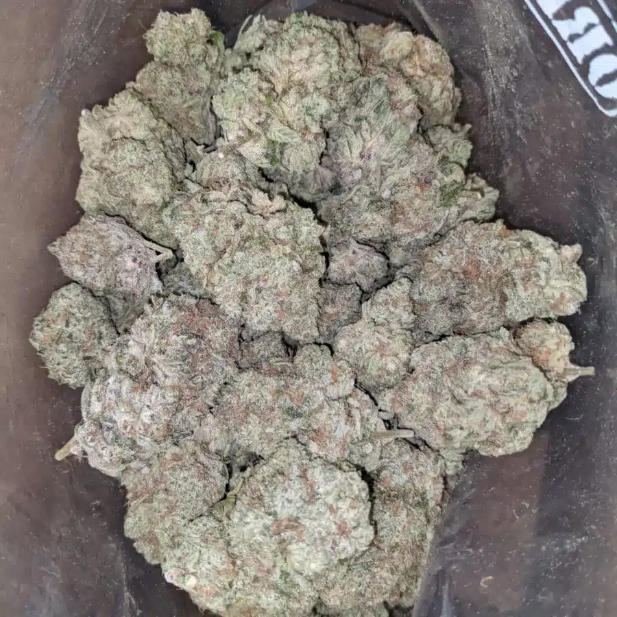 Yoda og 1 I Clementine