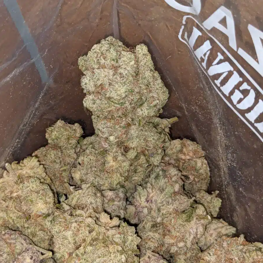 Yoda og 2 I Clementine