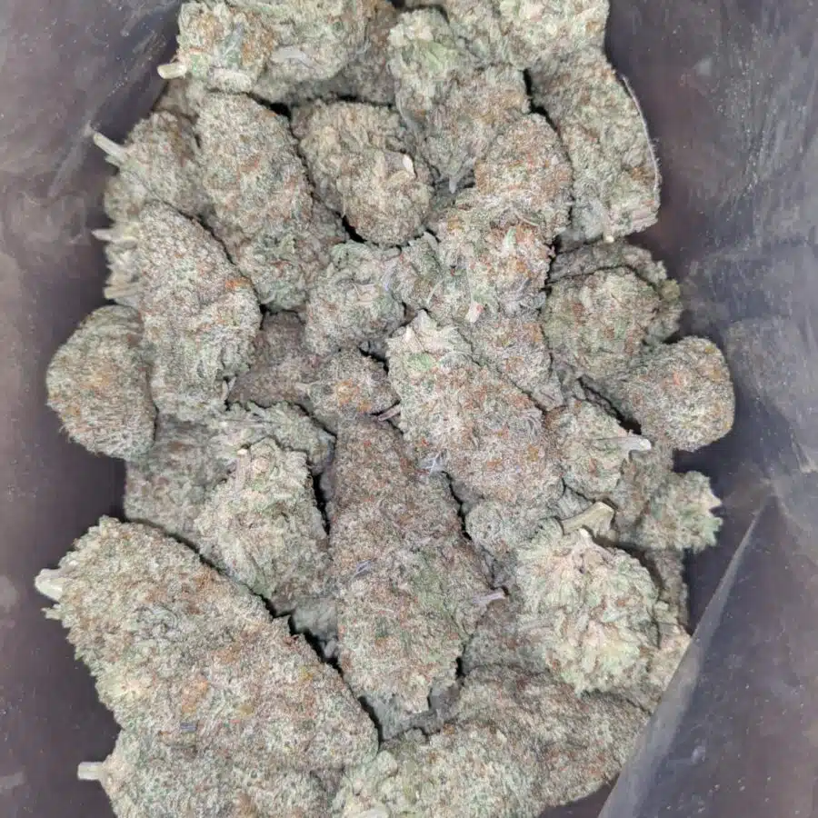 pink cookies 1 I Pink Cookies